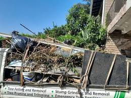 Property Management Cleanouts in Alakanuk, AK