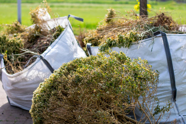 Best Residential Junk Removal  in Alanuk, AK